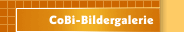 CoBi-Bildergalerie